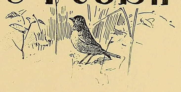 An illustration from Marching plays. Designed for little children at home, 1896, leaf 73