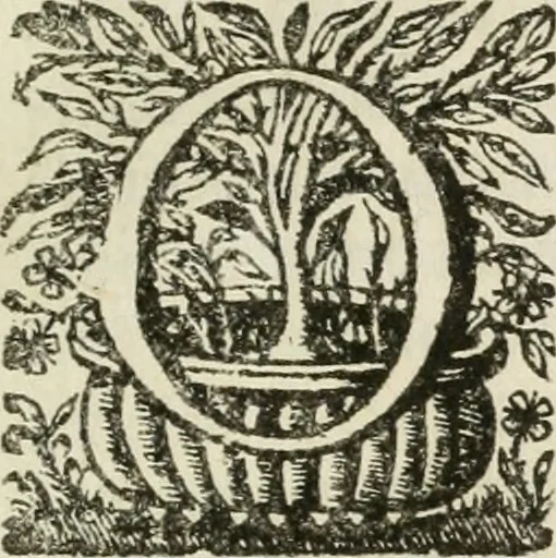 An illustration from Marci Meibomii De fabrica triremium liber, 1671, leaf 26