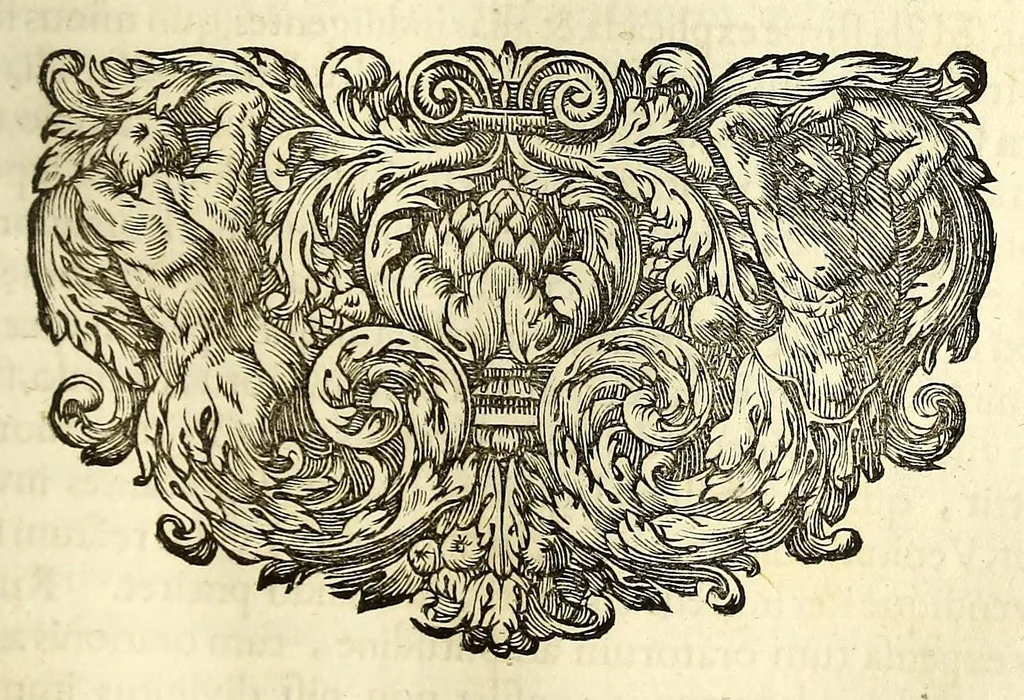 An illustration from Marci Velseri, Matthaei F. Ant. N. Reip. Augustanae quondam duumviri, Opera historica et philologica, sacra et profana. : In quibus historia boica, res Augustinae, conversio & passio SS. martyrum, Afrae, Hilariae, Dignae, Eunomiae, Eutropiae, vitae S. Udalrici, & S. Severini, narratio eorum, quae contigerunt Apollonio Tyrio, tabulae Peutingerianae integrae, epistolae ad viros illustres Latinae Italicaeque, & proteus satyra continentur., 1682, leaf 243