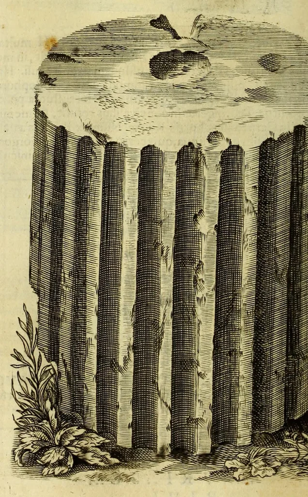 An illustration from Marci Velseri, Matthaei F. Ant. N. Reip. Augustanae quondam duumviri, Opera historica et philologica, sacra et profana. : In quibus historia boica, res Augustinae, conversio & passio SS. martyrum, Afrae, Hilariae, Dignae, Eunomiae, Eutropiae, vitae S. Udalrici, & S. Severini, narratio eorum, quae contigerunt Apollonio Tyrio, tabulae Peutingerianae integrae, epistolae ad viros illustres Latinae Italicaeque, & proteus satyra continentur., 1682, leaf 512