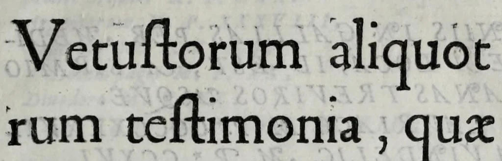 An illustration from Marci Velseri Matthaei f. Ant. n. patricii Aug. Vind. Rerum Augustanar. Vindelicar. libri octo, 1594, leaf 201