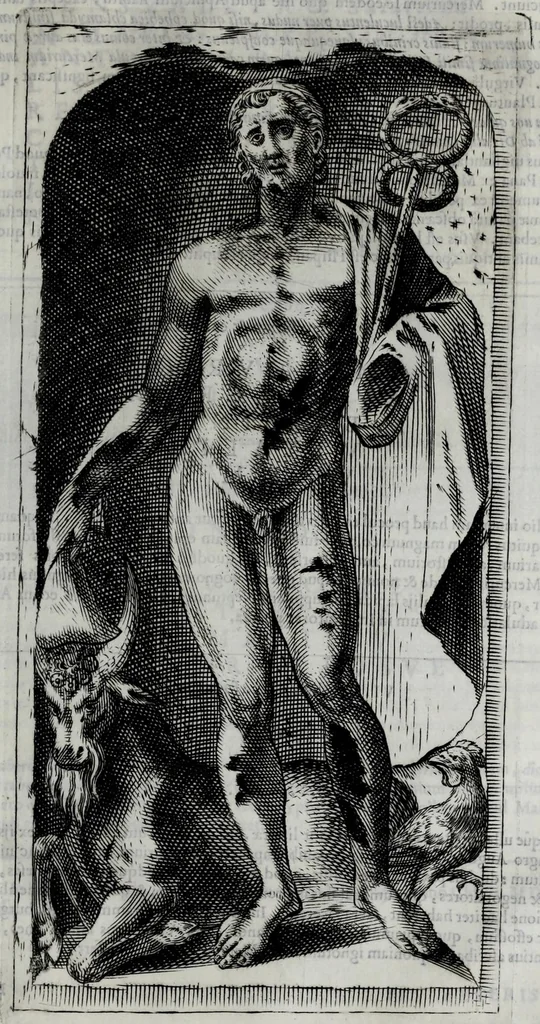 An illustration from Marci Velseri Matthaei f. Ant. n. patricii Aug. Vind. Rerum Augustanar. Vindelicar. libri octo, 1594, leaf 229