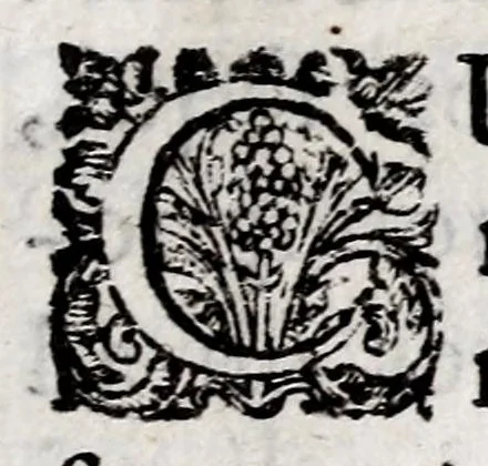 An illustration from Marci ZuerI BoxhornI Emblemata politica : accedunt dissertationes politicae de Romanorum imperio, et quaedam aliae, 1651, leaf 11