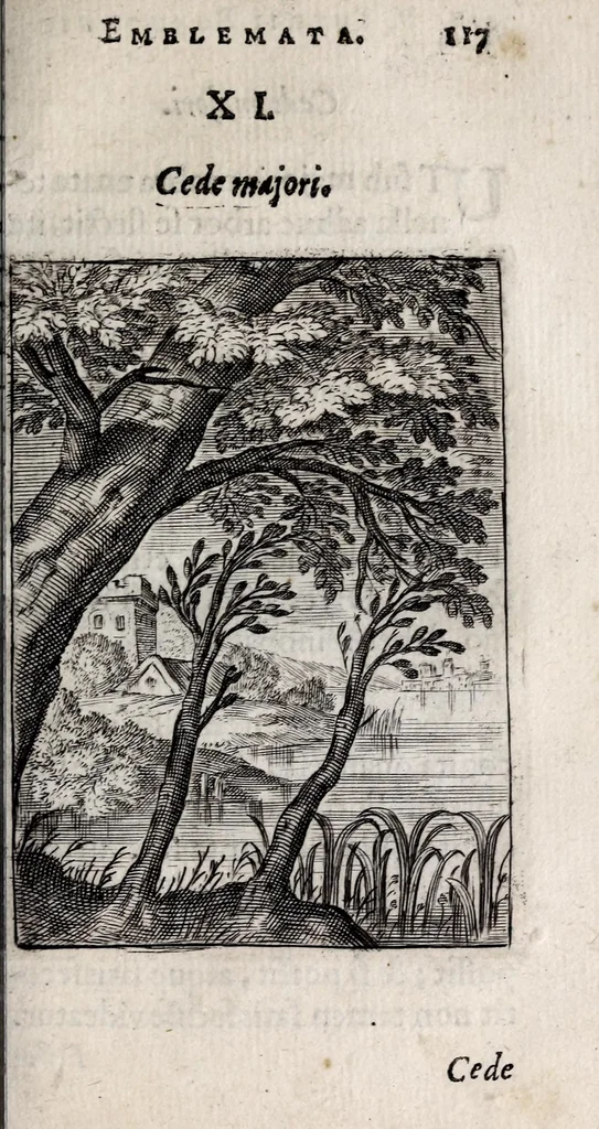 An illustration from Marci ZuerI BoxhornI Emblemata politica : accedunt dissertationes politicae de Romanorum imperio, et quaedam aliae, 1651, leaf 123