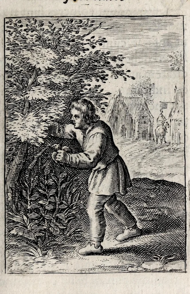 An illustration from Marci ZuerI BoxhornI Emblemata politica : accedunt dissertationes politicae de Romanorum imperio, et quaedam aliae, 1651, leaf 125