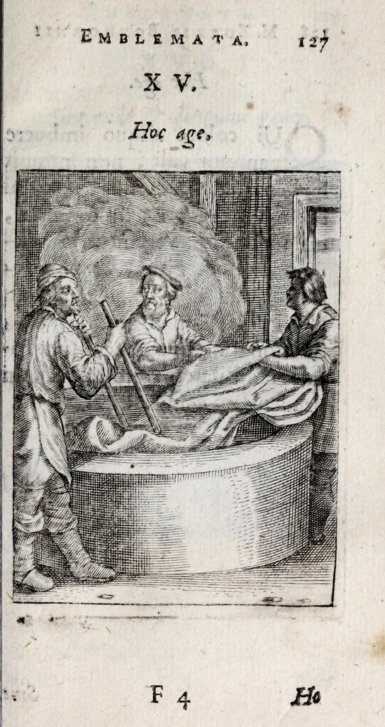 An illustration from Marci ZuerI BoxhornI Emblemata politica : accedunt dissertationes politicae de Romanorum imperio, et quaedam aliae, 1651, leaf 133