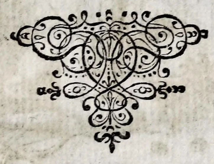 An illustration from Marci ZuerI BoxhornI Emblemata politica : accedunt dissertationes politicae de Romanorum imperio, et quaedam aliae, 1651, leaf 31