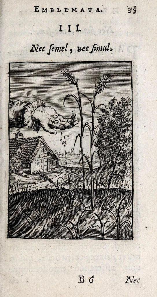 An illustration from Marci ZuerI BoxhornI Emblemata politica : accedunt dissertationes politicae de Romanorum imperio, et quaedam aliae, 1651, leaf 41