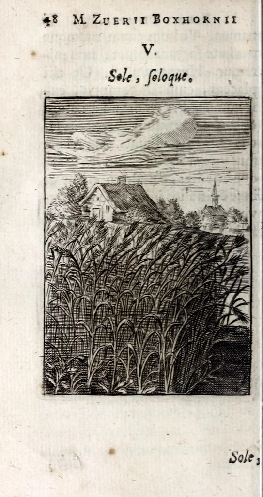 An illustration from Marci ZuerI BoxhornI Emblemata politica : accedunt dissertationes politicae de Romanorum imperio, et quaedam aliae, 1651, leaf 54