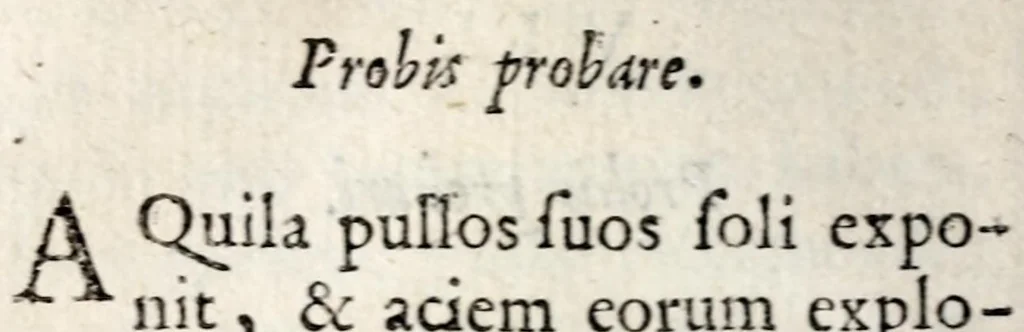 An illustration from Marci ZuerI BoxhornI Emblemata politica : accedunt dissertationes politicae de Romanorum imperio, et quaedam aliae, 1651, leaf 64