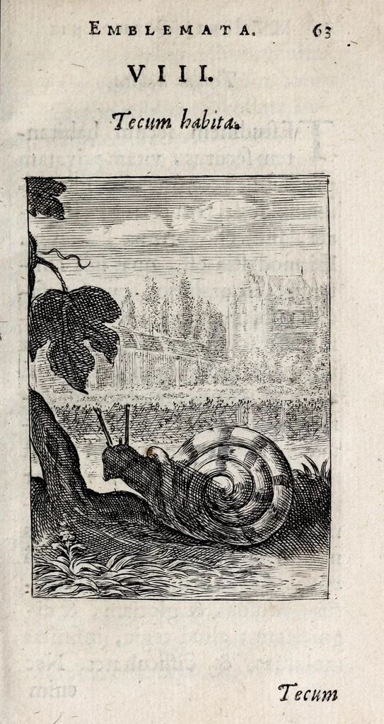 An illustration from Marci ZuerI BoxhornI Emblemata politica : accedunt dissertationes politicae de Romanorum imperio, et quaedam aliae, 1651, leaf 69