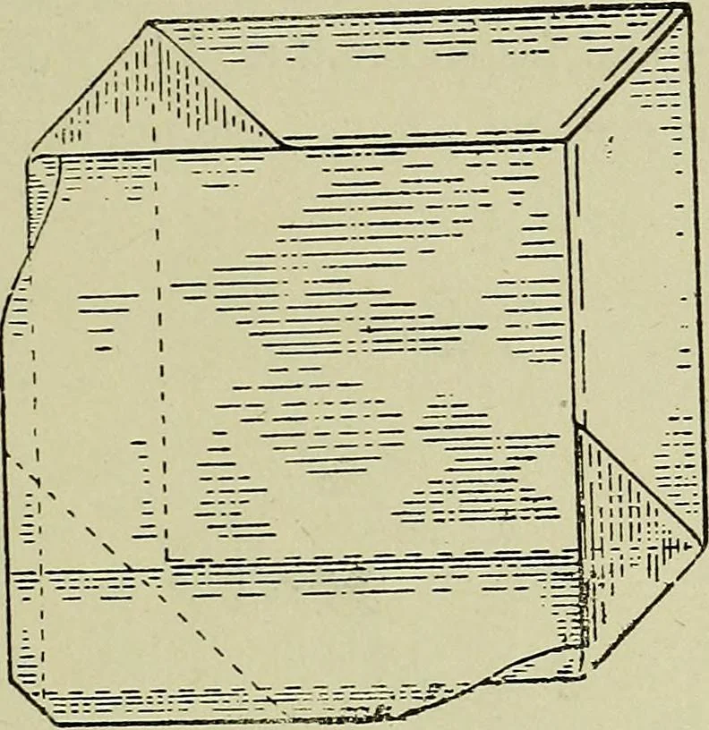 An illustration from Margaret J. Blair's system of sewing and garment drafting, 1904, leaf 52