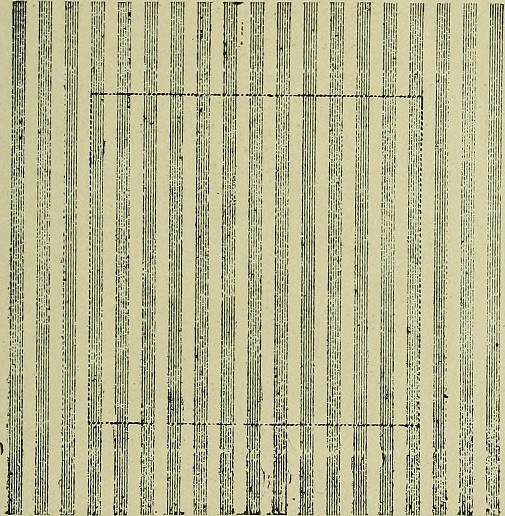 An illustration from Margaret J. Blair's system of sewing and garment drafting, 1904, leaf 58