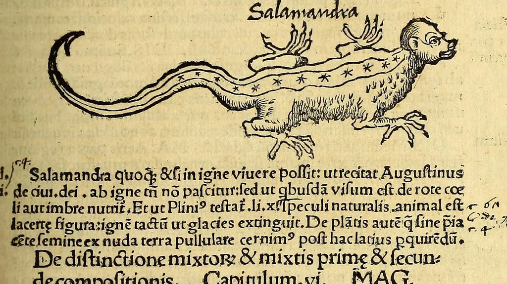An illustration from Margarita philosophica, 1504, leaf 433