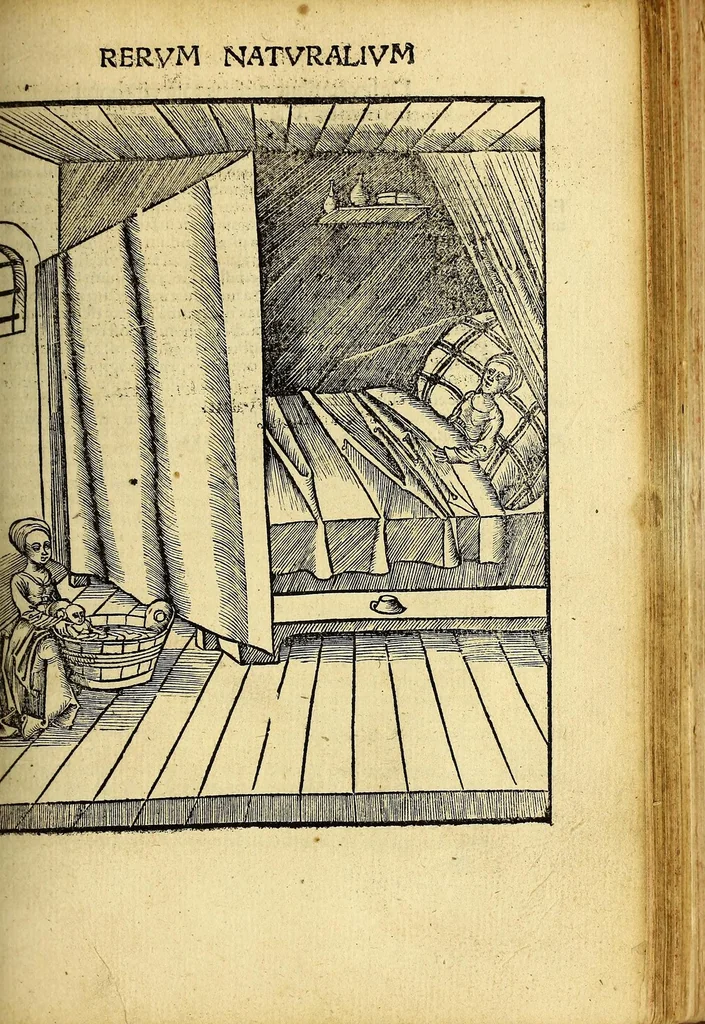 An illustration from Margarita philosophica, 1504, leaf 473