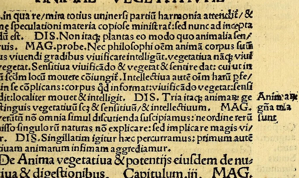 An illustration from Margarita philosophica, 1504, leaf 477