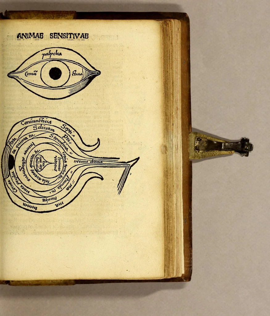 An illustration from Margarita philosophica, 1504, leaf 489