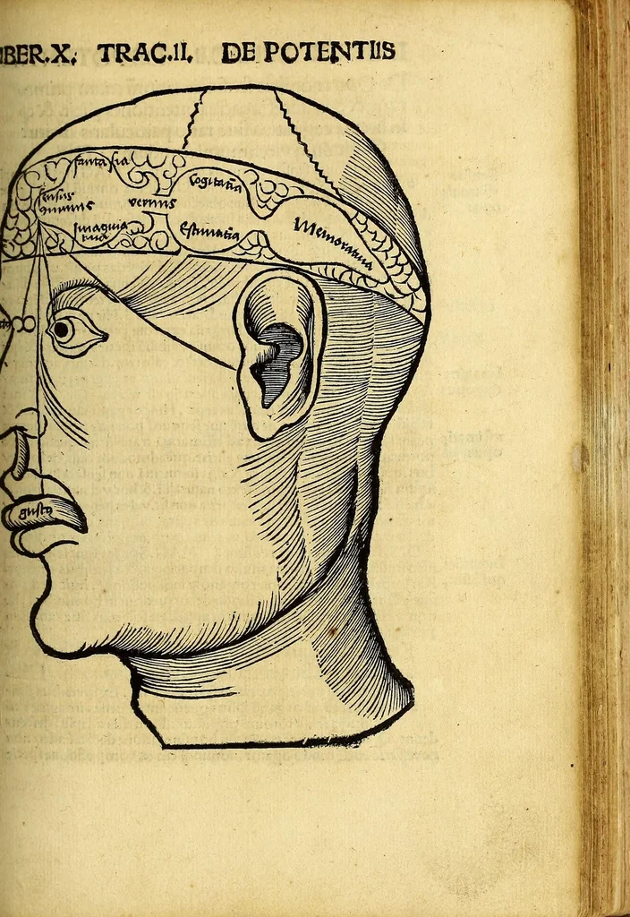 An illustration from Margarita philosophica, 1504, leaf 503