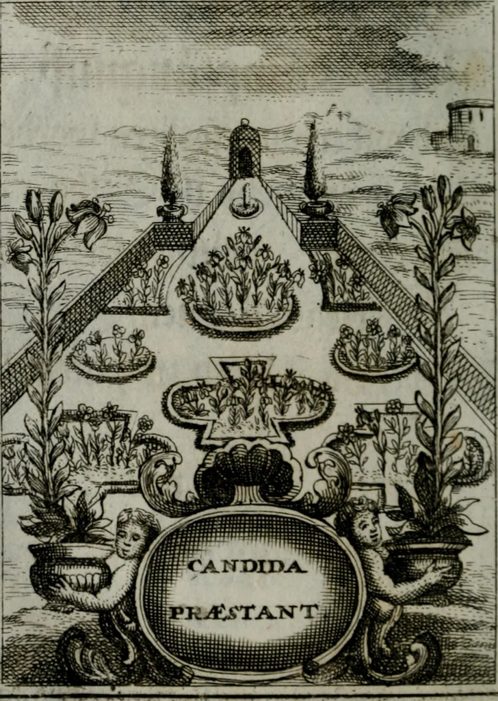 An illustration from Mariae höchst-wunderbarliche und ohne alle Sünden-Mackl gnaden-reich beschehene Empfängnuss : in hunderterley Sinn-Bildern vorgestellet, mit minder ... durch gleich-lauffende Vers deutlich erkläret : anbey mit einer anmüthigen Melodey versehen .., 1712, leaf 153