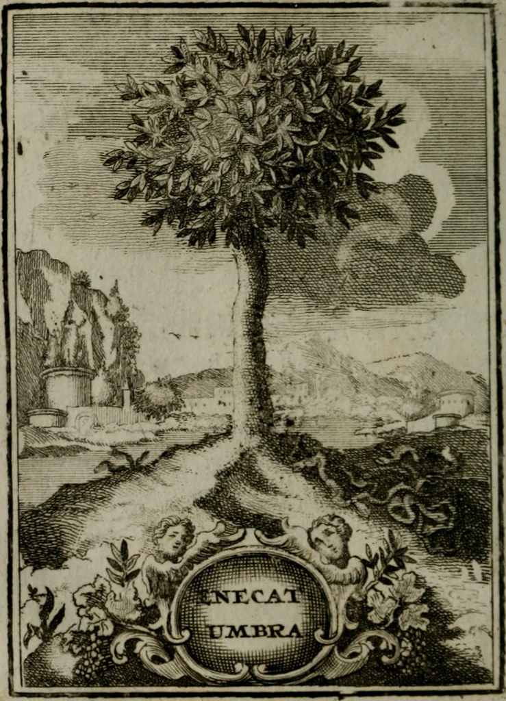 An illustration from Mariae höchst-wunderbarliche und ohne alle Sünden-Mackl gnaden-reich beschehene Empfängnuss : in hunderterley Sinn-Bildern vorgestellet, mit minder ... durch gleich-lauffende Vers deutlich erkläret : anbey mit einer anmüthigen Melodey versehen .., 1712, leaf 181