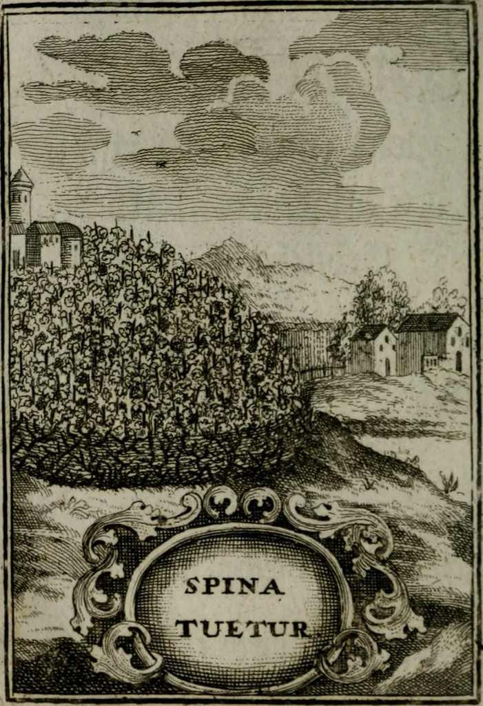 An illustration from Mariae höchst-wunderbarliche und ohne alle Sünden-Mackl gnaden-reich beschehene Empfängnuss : in hunderterley Sinn-Bildern vorgestellet, mit minder ... durch gleich-lauffende Vers deutlich erkläret : anbey mit einer anmüthigen Melodey versehen .., 1712, leaf 193