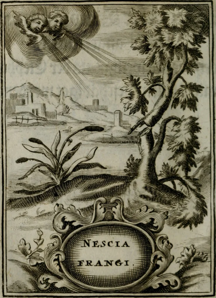 An illustration from Mariae höchst-wunderbarliche und ohne alle Sünden-Mackl gnaden-reich beschehene Empfängnuss : in hunderterley Sinn-Bildern vorgestellet, mit minder ... durch gleich-lauffende Vers deutlich erkläret : anbey mit einer anmüthigen Melodey versehen .., 1712, leaf 53
