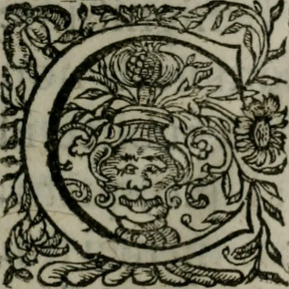 An illustration from Mariae höchst-wunderbarliche und ohne alle Sünden-Mackl gnaden-reich beschehene Empfängnuss : in hunderterley Sinn-Bildern vorgestellet, mit minder ... durch gleich-lauffende Vers deutlich erkläret : anbey mit einer anmüthigen Melodey versehen .., 1712, leaf 8