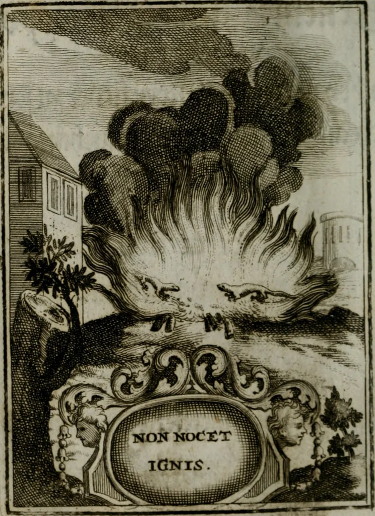 An illustration from Mariae höchst-wunderbarliche und ohne alle Sünden-Mackl gnaden-reich beschehene Empfängnuss : in hunderterley Sinn-Bildern vorgestellet, mit minder ... durch gleich-lauffende Vers deutlich erkläret : anbey mit einer anmüthigen Melodey versehen .., 1712, leaf 81