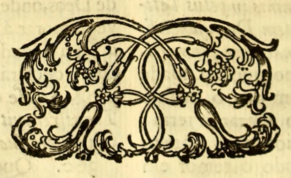 An illustration from Maria Rosa Mystica. : Excellencias, poderes, e maravilhas do seu rosario, compendiadas em trinta sermoens asceticos, & panegyricos sobre os dous evangelhos desta solennidade novo, & antigo:, 1686, leaf 338