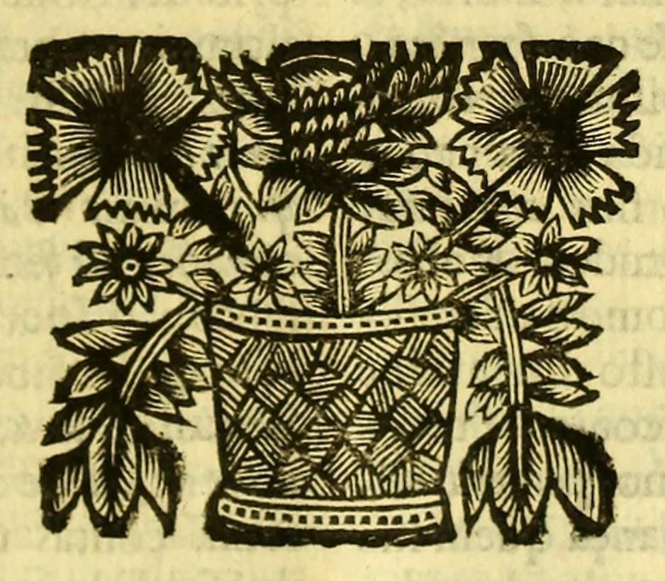 An illustration from Maria Rosa Mystica. : Excellencias, poderes, e maravilhas do seu rosario, compendiadas em trinta sermoens asceticos, & panegyricos sobre os dous evangelhos desta solennidade novo, & antigo:, 1686, leaf 455