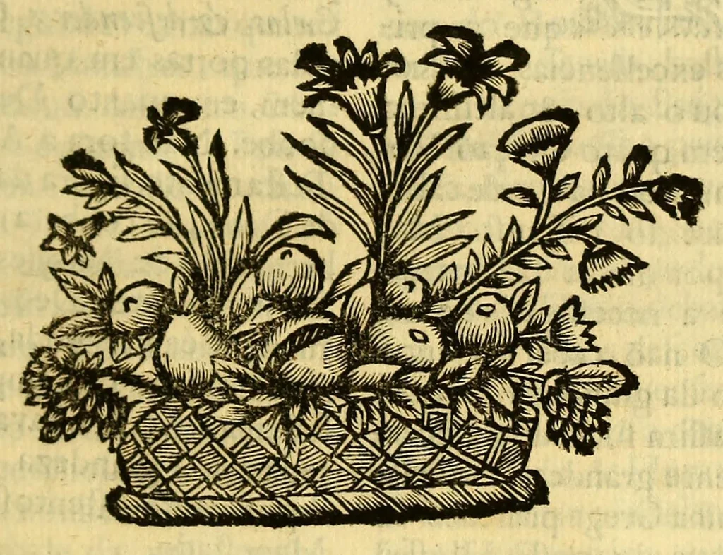 An illustration from Maria Rosa Mystica. : Excellencias, poderes, e maravilhas do seu rosario, compendiadas em trinta sermoens asceticos, & panegyricos sobre os dous evangelhos desta solennidade novo, & antigo:, 1686, leaf 49