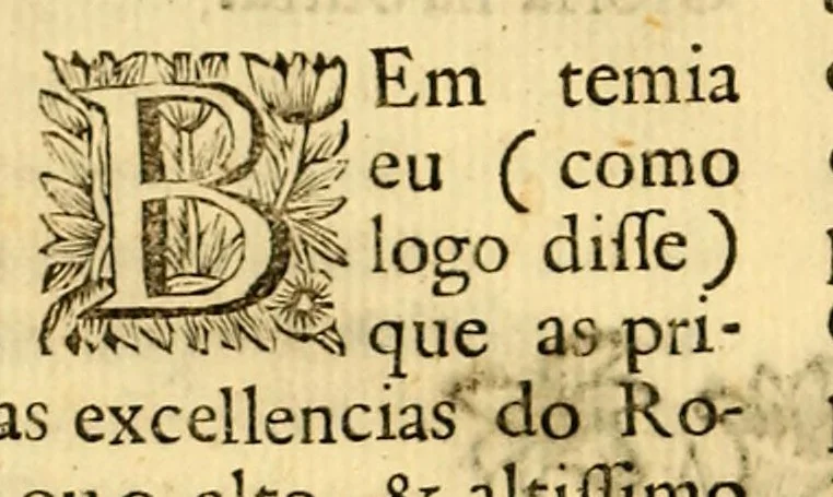An illustration from Maria Rosa Mystica. : Excellencias, poderes, e maravilhas do seu rosario, compendiadas em trinta sermoens asceticos, & panegyricos sobre os dous evangelhos desta solennidade novo, & antigo:, 1686, leaf 50
