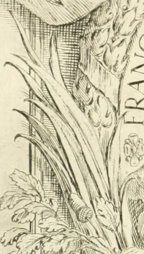 An illustration from Maria Vergine coronata : descrizione, e dichiarazione della diuota solennità fatta in Reggio li 13. maggio 1674, 1675, leaf 11
