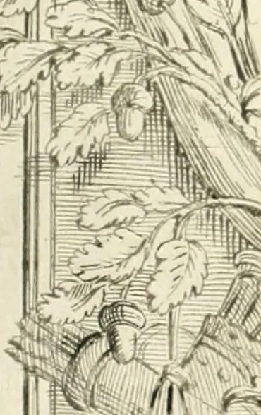 An illustration from Maria Vergine coronata : descrizione, e dichiarazione della diuota solennità fatta in Reggio li 13. maggio 1674, 1675, leaf 11