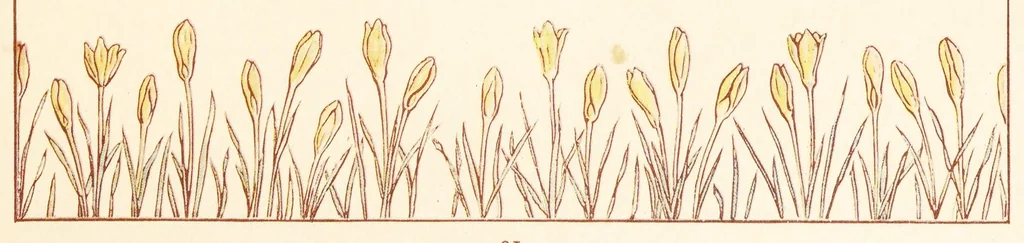 An illustration from Marigold garden, 1910, leaf 35