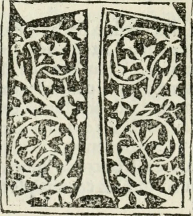 An illustration from Francisci Marii Grapaldi De partibvs aedivm libellvs cvm additamentis emendatissimvs, 1501, leaf 141