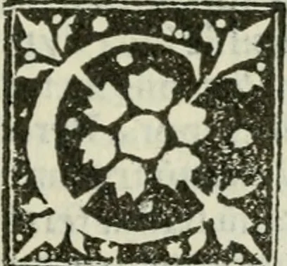 An illustration from Francisci Marii Grapaldi De partibvs aedivm libellvs cvm additamentis emendatissimvs, 1501, leaf 194