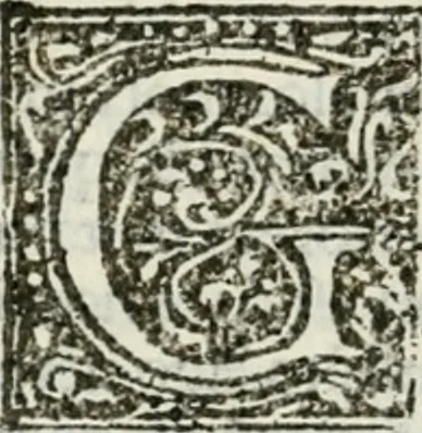 An illustration from Francisci Marii Grapaldi De partibvs aedivm libellvs cvm additamentis emendatissimvs, 1501, leaf 211