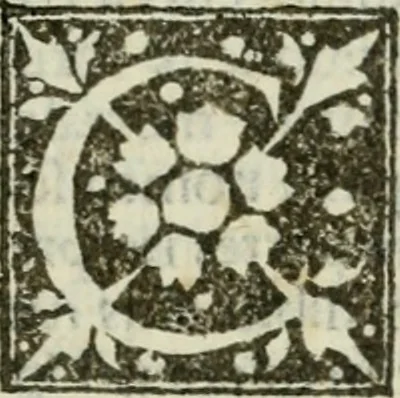 An illustration from Francisci Marii Grapaldi De partibvs aedivm libellvs cvm additamentis emendatissimvs, 1501, leaf 218