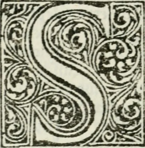 An illustration from Francisci Marii Grapaldi De partibvs aedivm libellvs cvm additamentis emendatissimvs, 1501, leaf 249