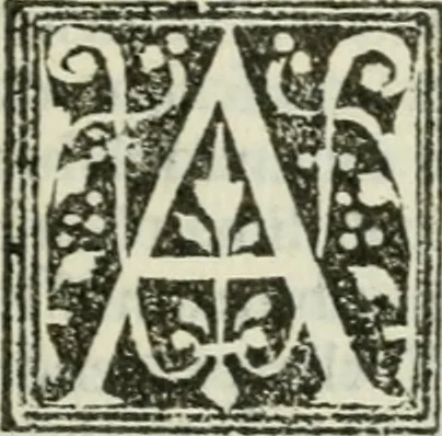 An illustration from Francisci Marii Grapaldi De partibvs aedivm libellvs cvm additamentis emendatissimvs, 1501, leaf 260