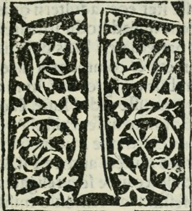 An illustration from Francisci Marii Grapaldi De partibvs aedivm libellvs cvm additamentis emendatissimvs, 1501, leaf 284