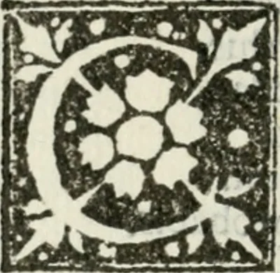 An illustration from Francisci Marii Grapaldi De partibvs aedivm libellvs cvm additamentis emendatissimvs, 1501, leaf 29