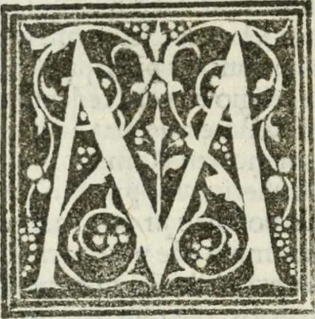 An illustration from Francisci Marii Grapaldi De partibvs aedivm libellvs cvm additamentis emendatissimvs, 1501, leaf 31