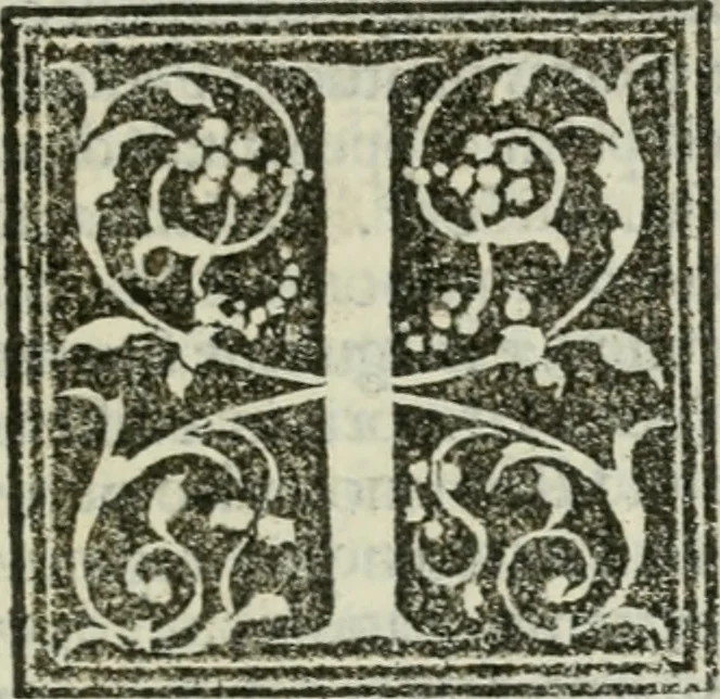 An illustration from Francisci Marii Grapaldi De partibvs aedivm libellvs cvm additamentis emendatissimvs, 1501, leaf 32
