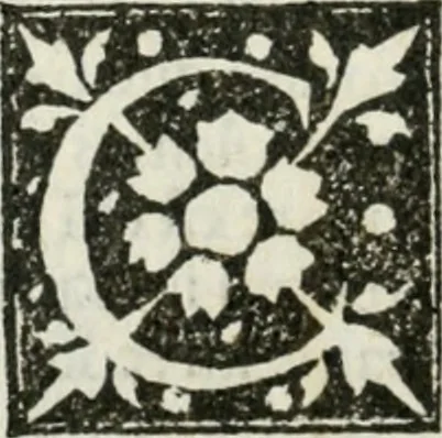 An illustration from Francisci Marii Grapaldi De partibvs aedivm libellvs cvm additamentis emendatissimvs, 1501, leaf 47