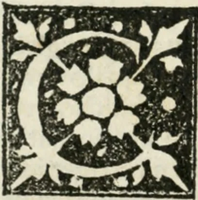 An illustration from Francisci Marii Grapaldi De partibvs aedivm libellvs cvm additamentis emendatissimvs, 1501, leaf 55