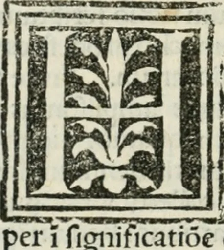 An illustration from Francisci Marii Grapaldi De partibvs aedivm libellvs cvm additamentis emendatissimvs, 1501, leaf 67
