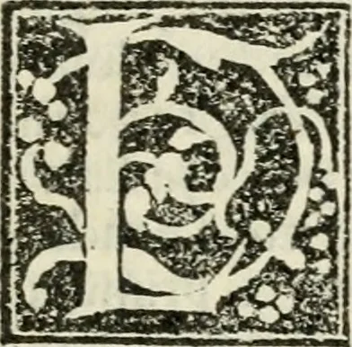 An illustration from Francisci Marii Grapaldi De partibvs aedivm libellvs cvm additamentis emendatissimvs, 1501, leaf 104