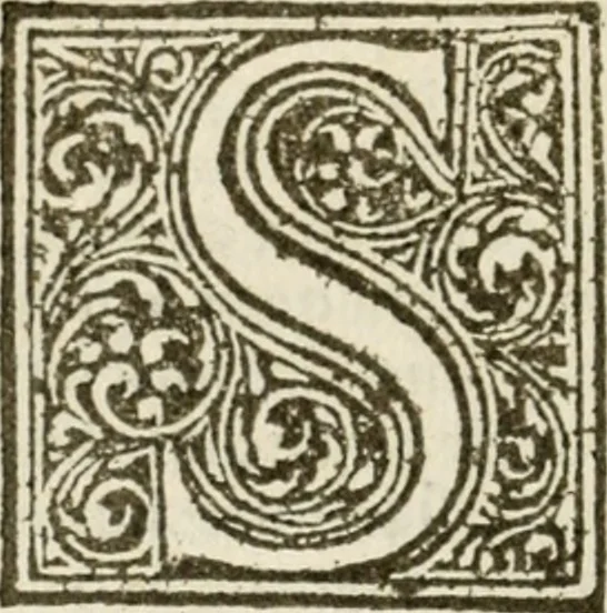 An illustration from Francisci Marii Grapaldi De partibvs aedivm libellvs cvm additamentis emendatissimvs, 1501, leaf 113